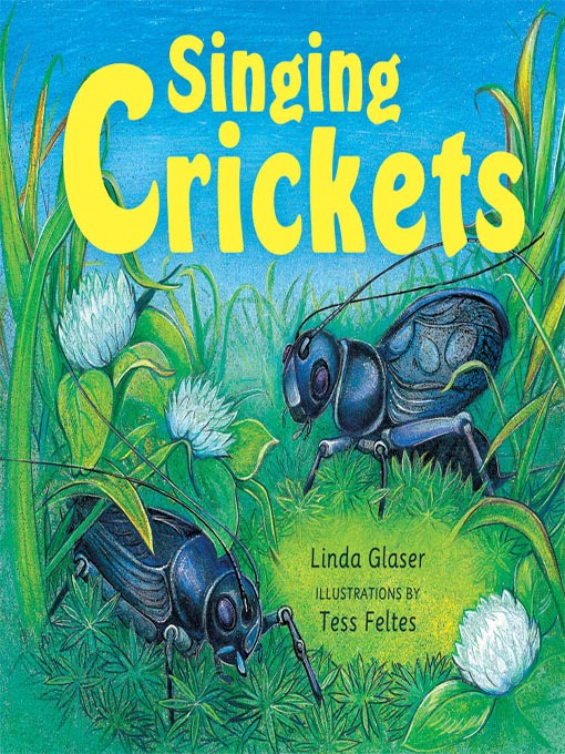 Cover image for Singing Crickets